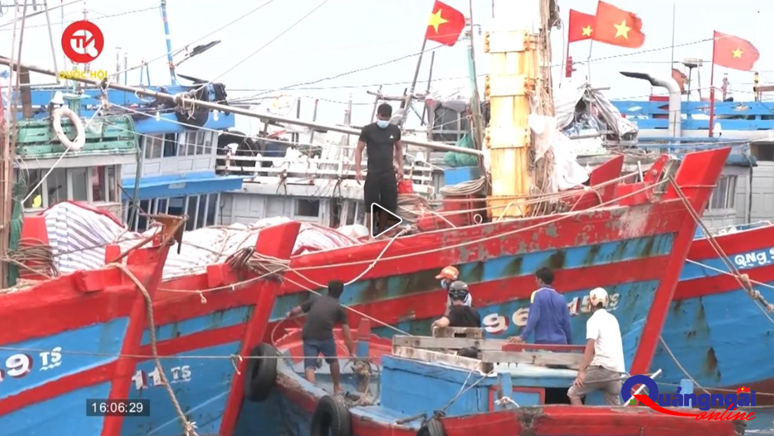 Quảng Ngãi: Chủ động cấm tàu thuyền ra khơi, đề phòng sạt lở núi